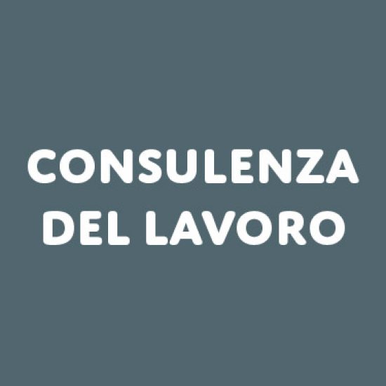 USAPE_consulenza_lavoro_txt.jpg